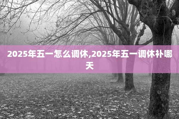 2025年五一怎么调休,2025年五一调休补哪天