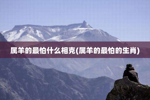 属羊的最怕什么相克(属羊的最怕的生肖)