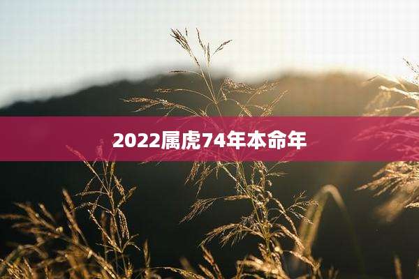 2022属虎74年本命年