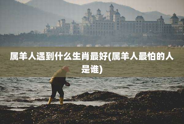 属羊人遇到什么生肖最好(属羊人最怕的人是谁)