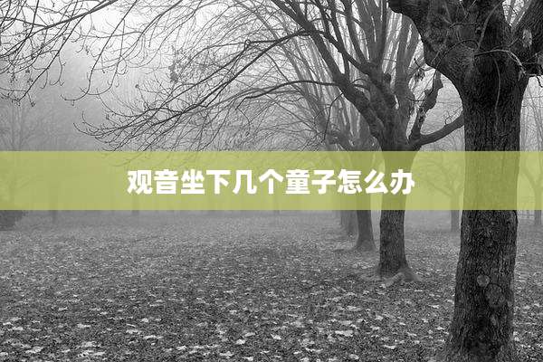 观音坐下几个童子怎么办