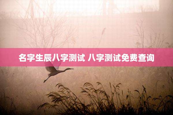 名字生辰八字测试 八字测试免费查询