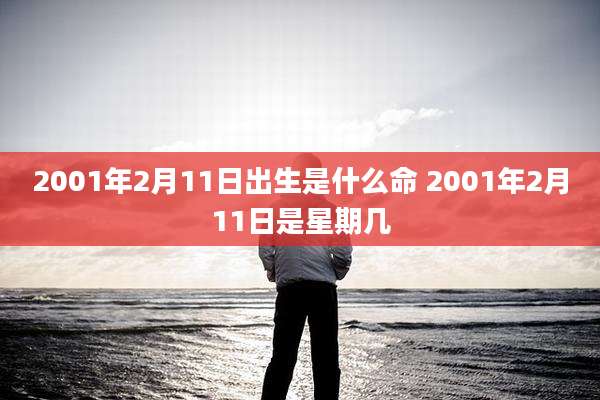 2001年2月11日出生是什么命 2001年2月11日是星期几