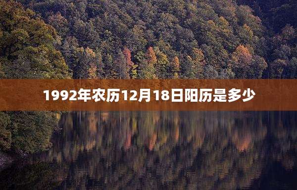 1992年农历12月18日阳历是多少