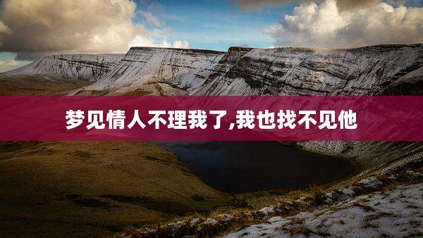 梦见情人不理我了,我也找不见他