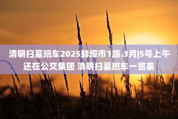 清明扫墓班车2025蚌埠市1路.3月|5号上午还在公交集团 清明扫墓班车一览表