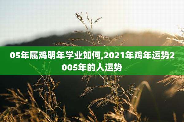 05年属鸡明年学业如何,2021年鸡年运势2005年的人运势