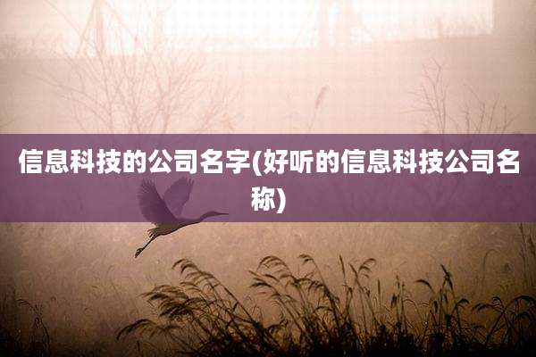 信息科技的公司名字(好听的信息科技公司名称)