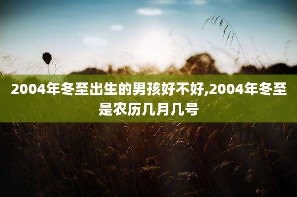 2004年冬至出生的男孩好不好,2004年冬至是农历几月几号