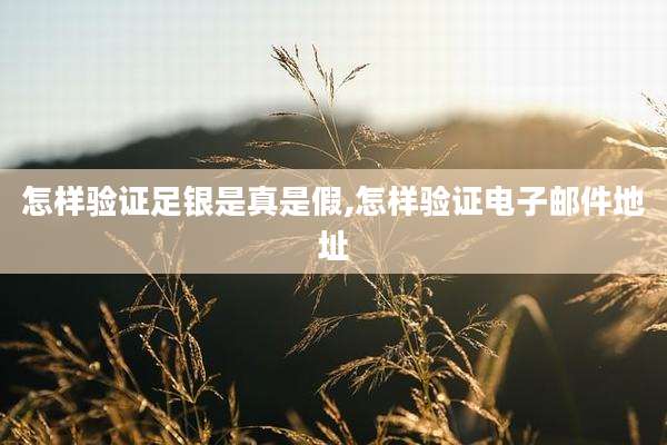 怎样验证足银是真是假,怎样验证电子邮件地址