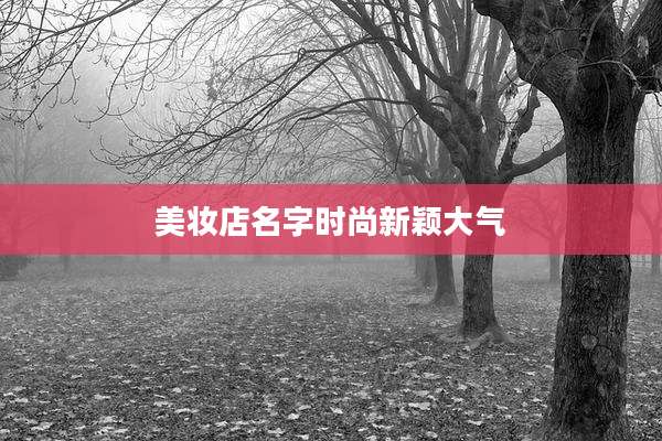 美妆店名字时尚新颖大气