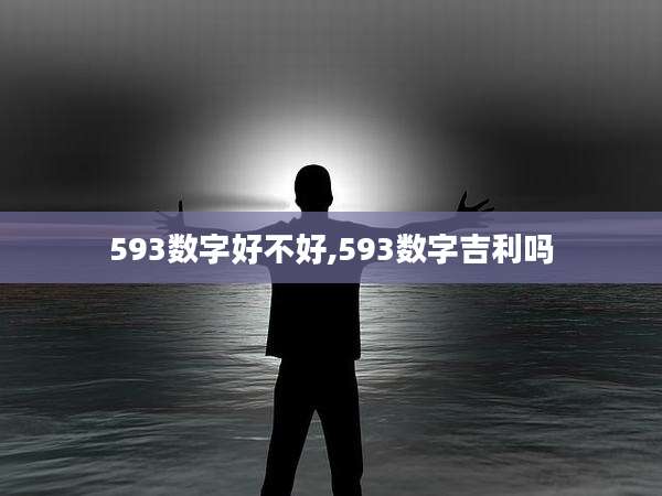 593数字好不好,593数字吉利吗