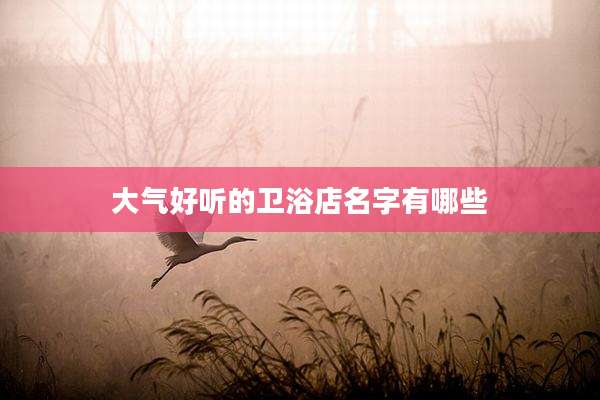 大气好听的卫浴店名字有哪些