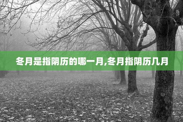 冬月是指阴历的哪一月,冬月指阴历几月