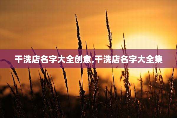 干洗店名字大全创意,干洗店名字大全集