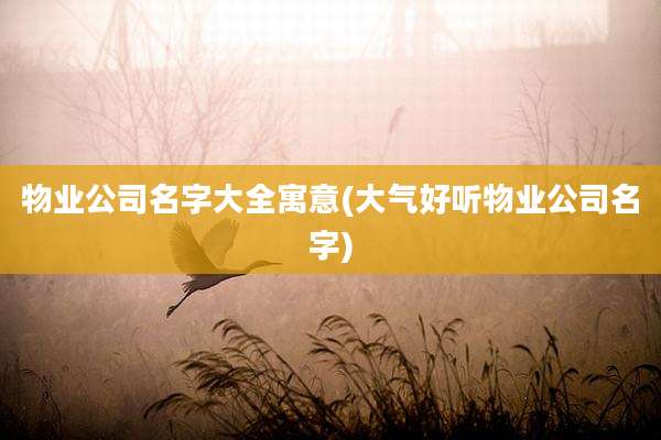 物业公司名字大全寓意(大气好听物业公司名字)