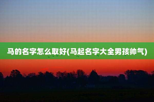 马的名字怎么取好(马起名字大全男孩帅气)