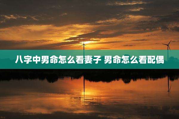 八字中男命怎么看妻子 男命怎么看配偶