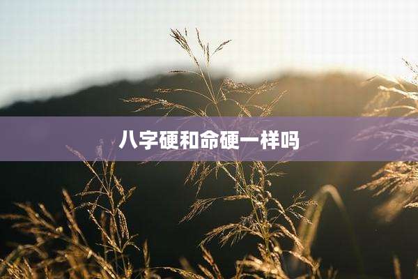 八字硬和命硬一样吗