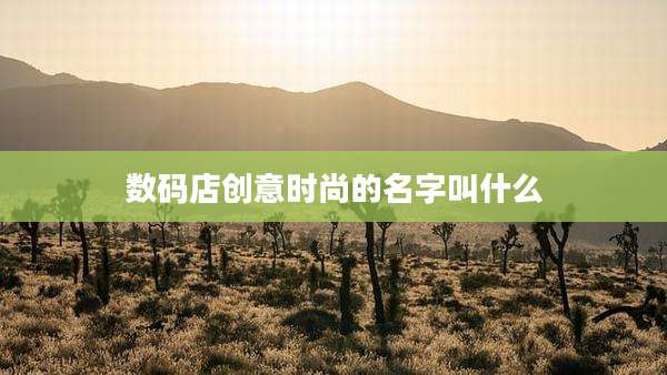 数码店创意时尚的名字叫什么