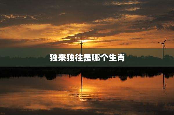 独来独往是哪个生肖