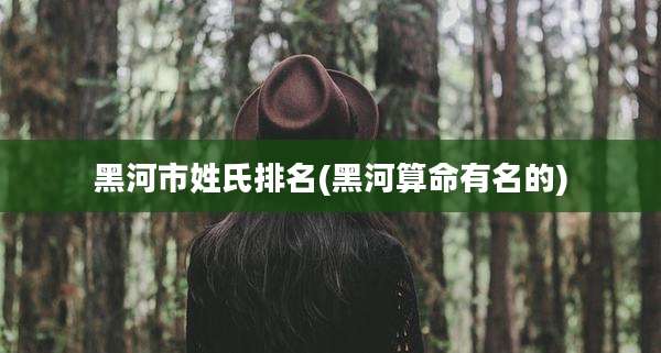 黑河市姓氏排名(黑河算命有名的)