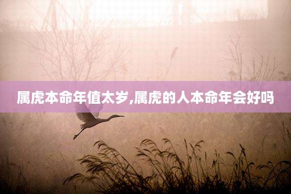 属虎本命年值太岁,属虎的人本命年会好吗