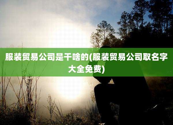 服装贸易公司是干啥的(服装贸易公司取名字大全免费)