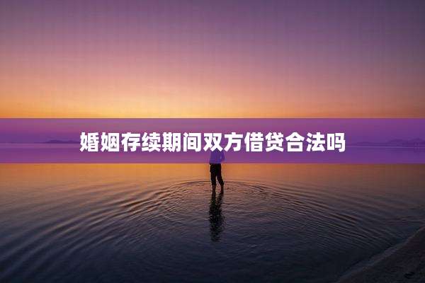 婚姻存续期间双方借贷合法吗