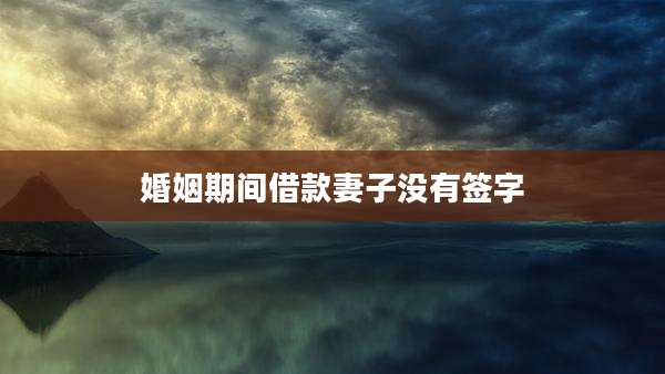 婚姻期间借款妻子没有签字