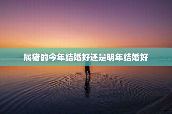 属猪的今年结婚好还是明年结婚好
