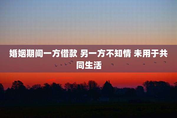 婚姻期间一方借款 另一方不知情 未用于共同生活