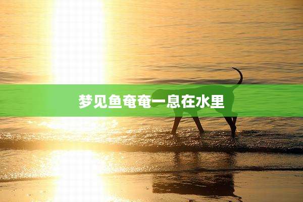梦见鱼奄奄一息在水里