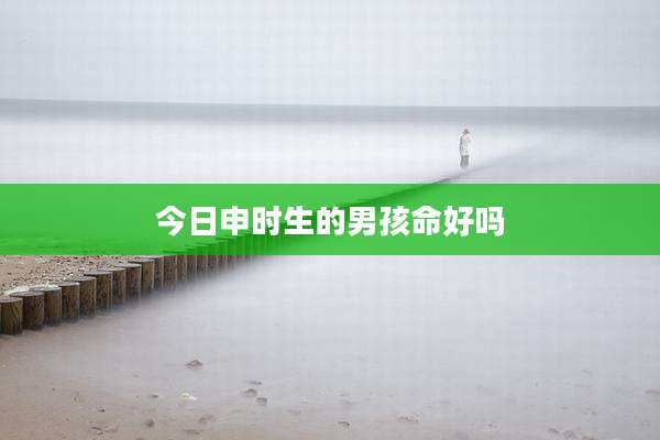 今日申时生的男孩命好吗