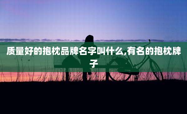 质量好的抱枕品牌名字叫什么,有名的抱枕牌子