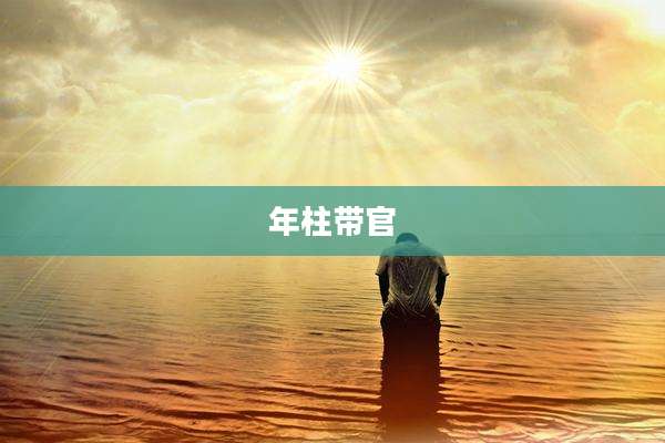 年柱带官