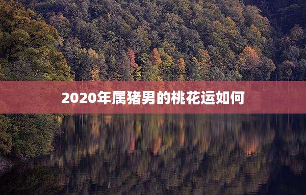 2020年属猪男的桃花运如何