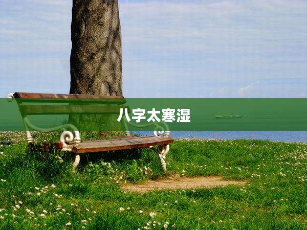 八字太寒湿