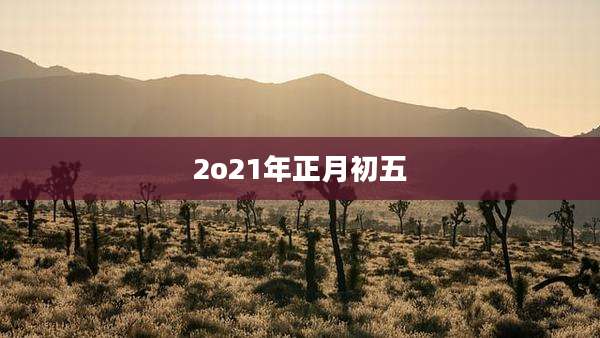 2o21年正月初五