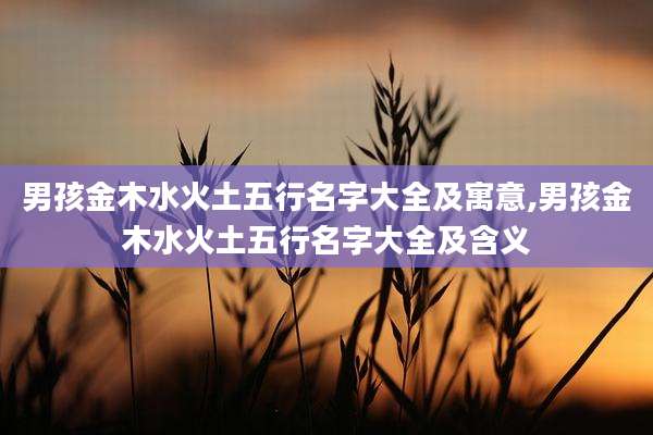 男孩金木水火土五行名字大全及寓意,男孩金木水火土五行名字大全及含义