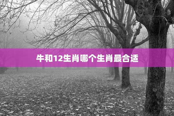 牛和12生肖哪个生肖最合适