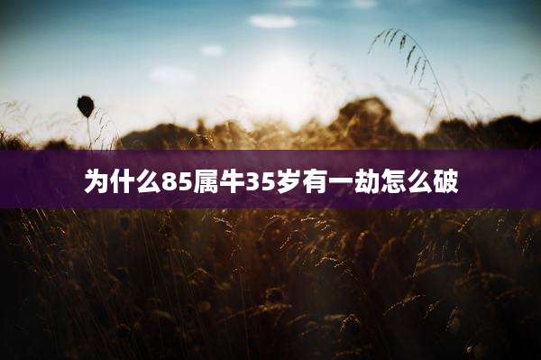 为什么85属牛35岁有一劫怎么破
