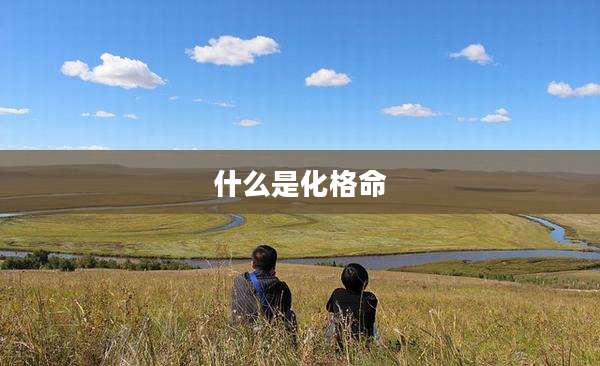 什么是化格命