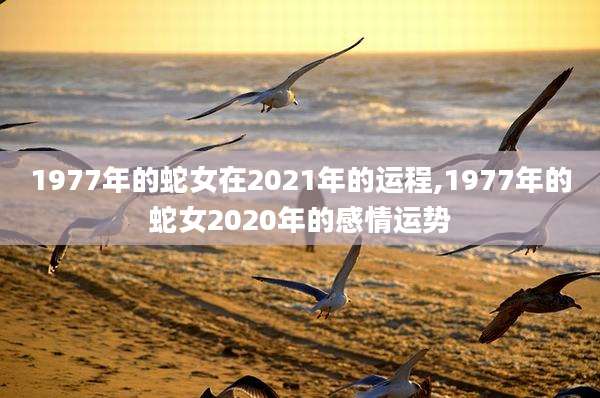 1977年的蛇女在2021年的运程,1977年的蛇女2020年的感情运势