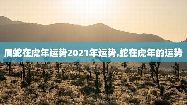属蛇在虎年运势2021年运势,蛇在虎年的运势