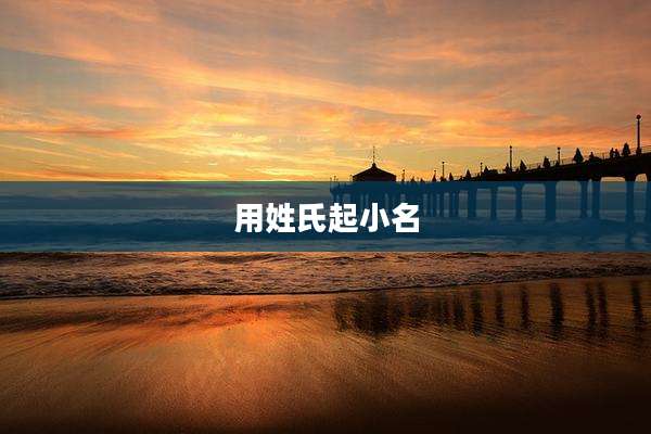 用姓氏起小名