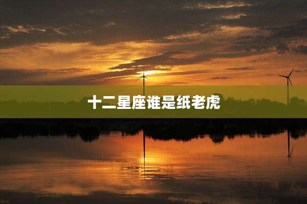 十二星座谁是纸老虎