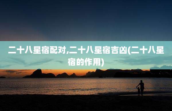 二十八星宿配对,二十八星宿吉凶(二十八星宿的作用)