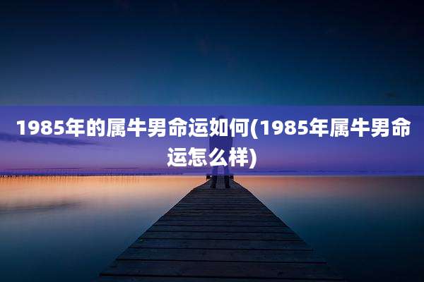 1985年的属牛男命运如何(1985年属牛男命运怎么样)