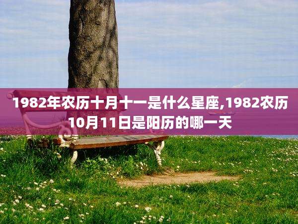 1982年农历十月十一是什么星座,1982农历10月11日是阳历的哪一天